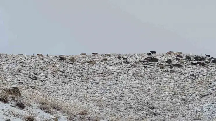 Van'da Erek Dağı karla kaplandı, kış manzarası göz kamaştırıyor!