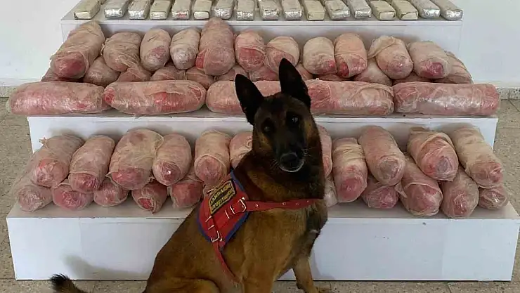 Van'da Jandarma, 67 Kilogram Uyuşturucu İle Operasyon Düzenledi
