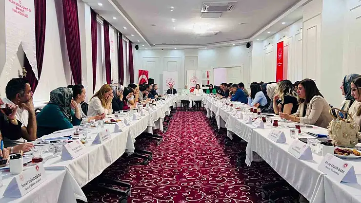Van'da Kadın Hizmetleri İstişare Toplantısı, Şiddetle Mücadele Eylem Planı'na Yön Verecek