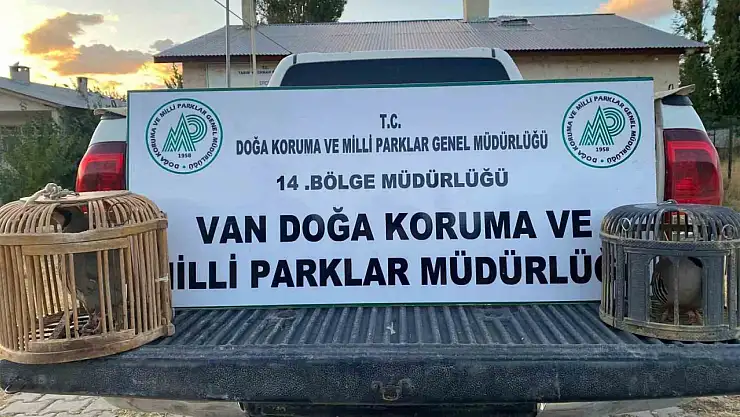 Van'da kafes avcılığı yapan kişiye 48 bin lira ceza kesildi