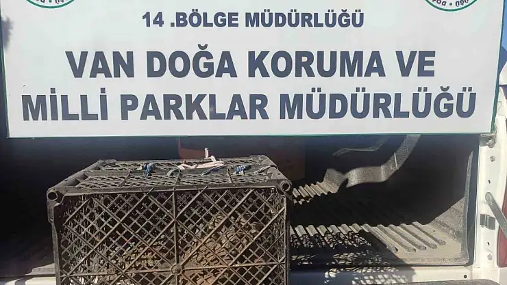 Van'da kafes avcısına 53 bin lira ceza kesildi!