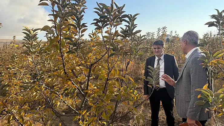 Van'da Meyve Bahçelerine Ziyaret