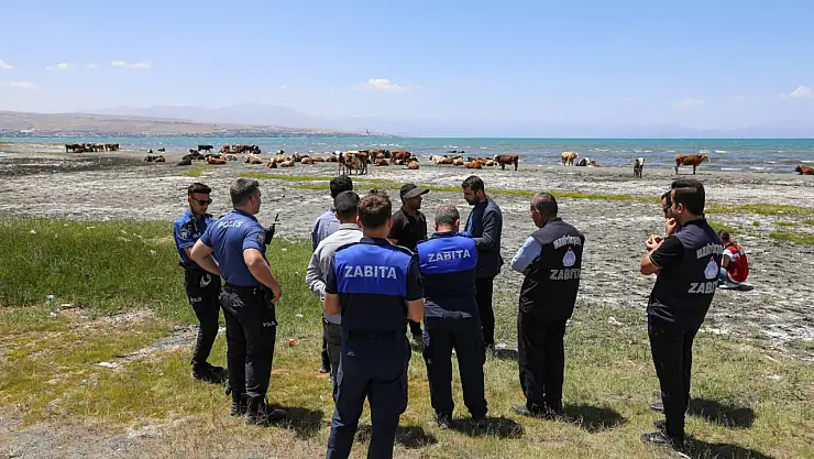 Van'da park ve yeşil alanlarda hayvancılıkla mücadele için denetimler artırıldı