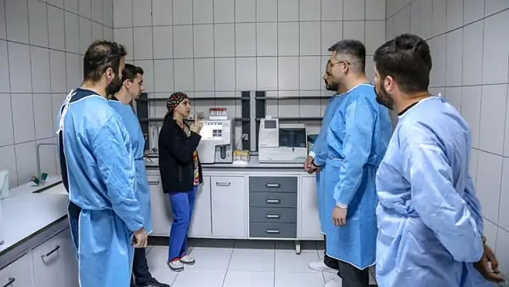 Van'da Protokol ile Veterinerlik Öğrencilerine Uygulamalı Eğitim Fırsatı!