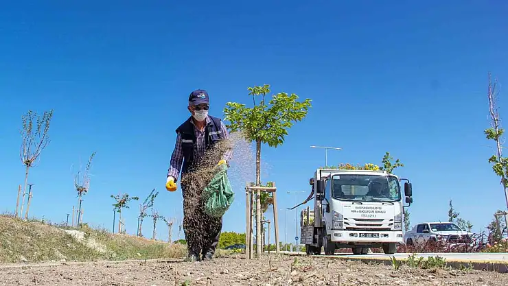 Van'da Sahil Yolunda Peyzaj Çalışmalarıyla Estetik ve Huzur Arttırılıyor
