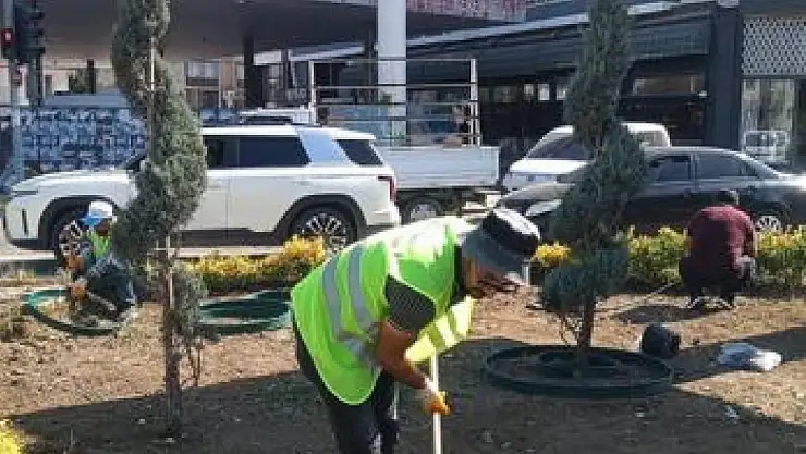 Van'da Şehir Merkezinde Yeşillendirme Çalışmaları Devam Ediyor
