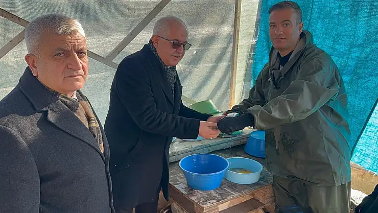 Van'da soğuk hava şartlarına rağmen alabalık sağımı yapıldı