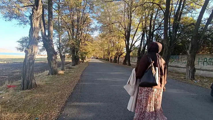 Van'da Sonbahar: Doğanın Renk Cümbüşü ve Unutulmaz Anlar