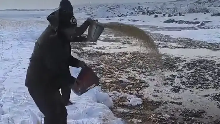 Van'da yaban hayatı unutulmadı