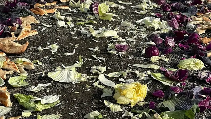 Van'da yaban hayvanları için doğaya yiyecek bırakıldı