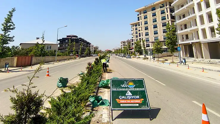 Van'da Yeşil Alanlar İçin Peyzaj Çalışmaları Devam Ediyor