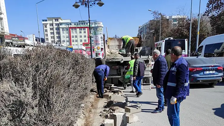 Van'da yollar onarılıyor
