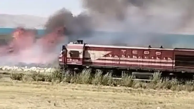 Van'daki Erçek Gölü Sazlıklarında Korkutan Yangın