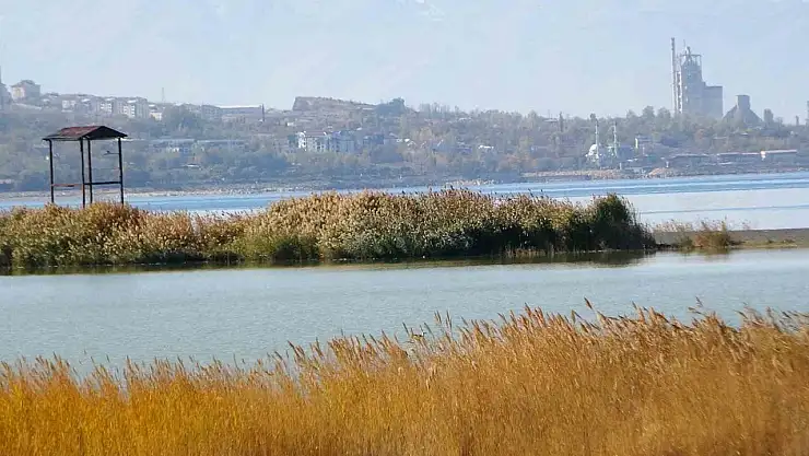 Van Gölü Havzası, Türkiye'nin sulak alan zenginliğiyle yaban hayatı için kritik öneme sahip