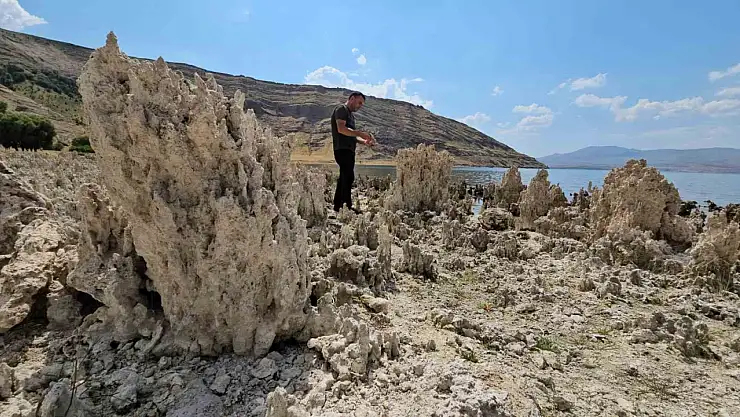 Van Gölü'nde Su Seviyesi Düşüyor, Mikrobiyalitler Kıyıları Süslemeye Başladı