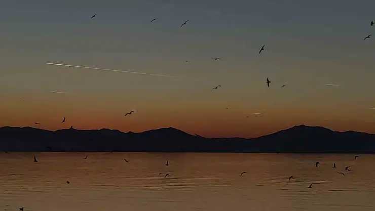 Van semalarında gökyüzünde uçaklar ve göçmen kuşlardan kartpostallık manzaralar oluştu