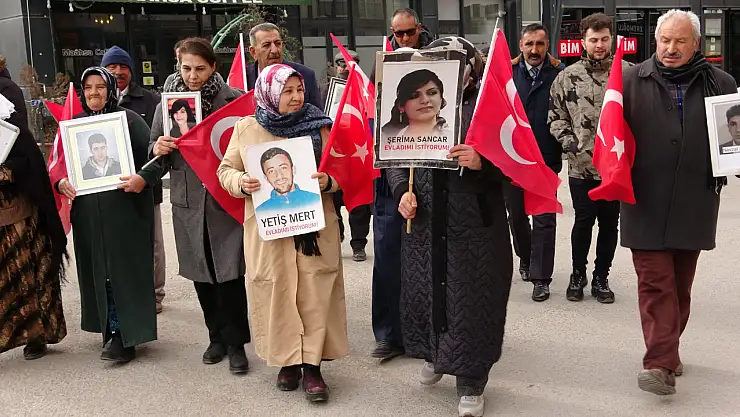 Vanlı ailelerin evlat nöbeti 96'ncı haftasında