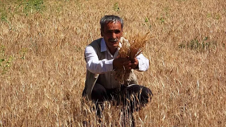 Vanlı Çiftçiler, Uygun Sulama Göletleri Talep Ediyor