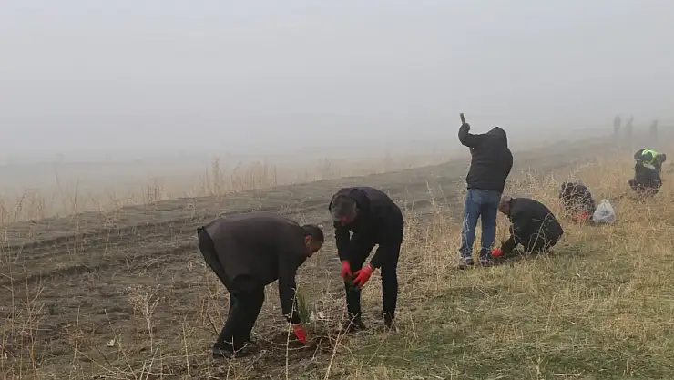 Varto'da 500 Fidan Toprakla Buluştu