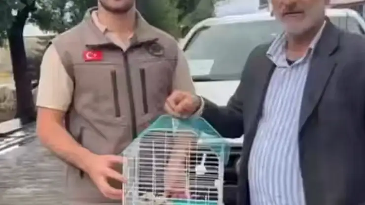 Vatandaşlar ve Askerler Tarafından Kurtarılan 3 Kerkenez Yavrusu Doğaya Kavuştu