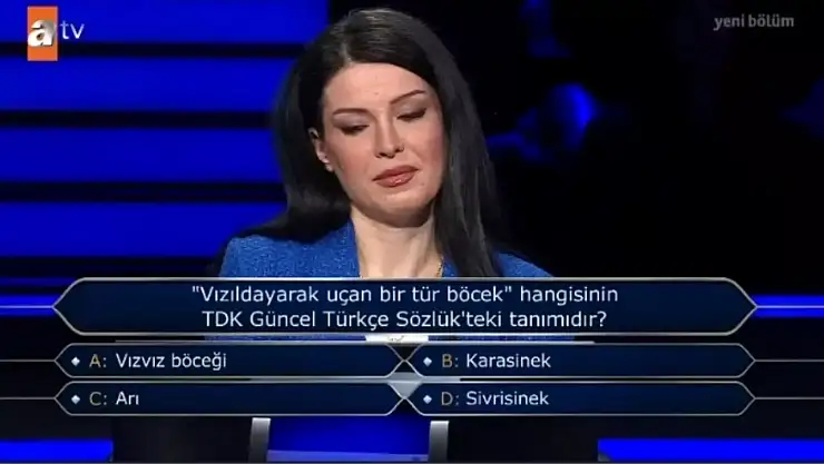 'Vızıldayarak uçan bir tür böcek' hangisinin TDK Güncel Türkçe Sözlük'teki tanımıdır?