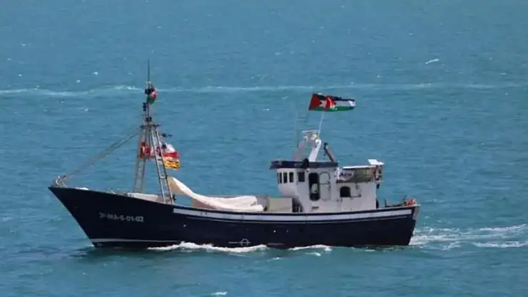 War Ships Coming ne anlama geliyor? Marinette intercepted ne demek?