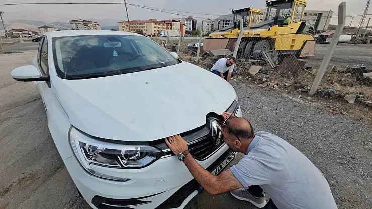 Yavru Kedi, Otomobilin Motor Bölmesinde Üç Şehir Turu Attı
