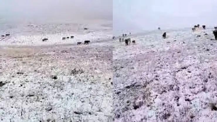 Yedigöller'e mevsimin ilk karı yağdı, çobanlar kar sürpriziyle karşılaştı