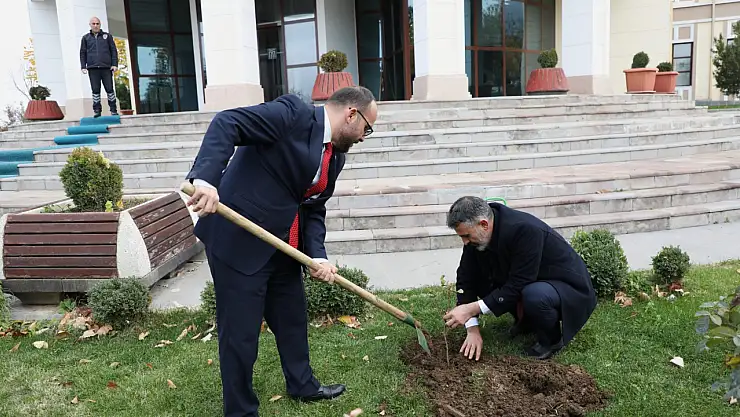 Yeni Akademik Yıl Fıstık Ağaçları ile Başladı
