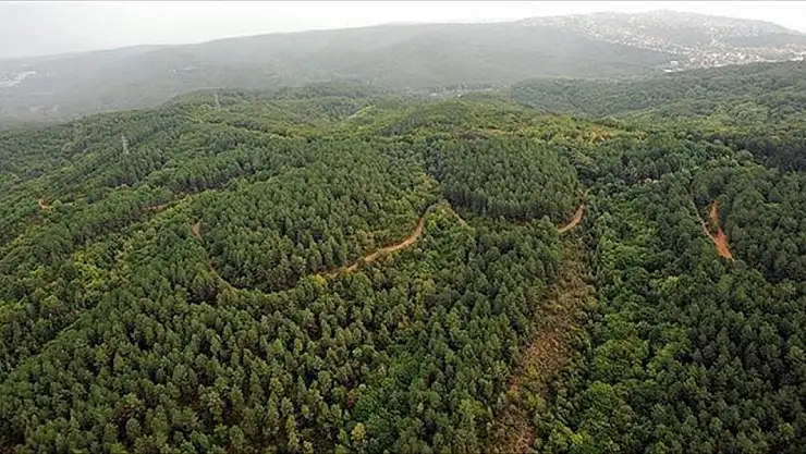 Yeşil vatan için el ele: 81 ilde eş zamanlı temizlik