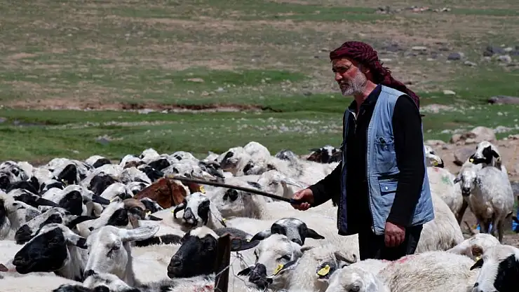 Yetiştiricilere 127,7 Milyon TL'lik Kredi Desteği Sunuldu