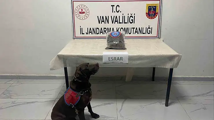 Yüksekova'da Jandarma Operasyonunda 999 Gram Esrar Ele Geçirildi