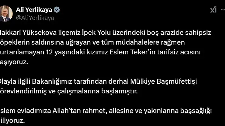 Yüksekova'da köpek saldırısı inceleme altına alındı