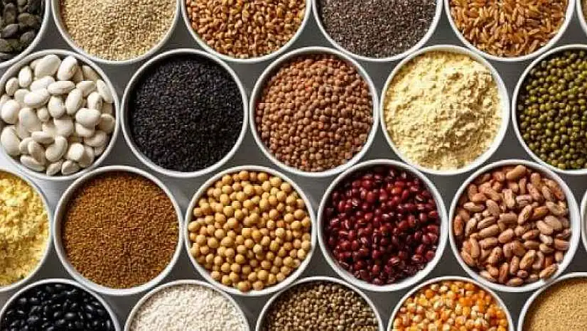 12 KALEM KURU GIDA ALIMI
