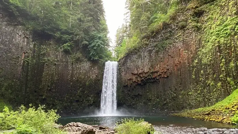 Abiqua Şelalesi ne kadara satışa çıkarıldı? Abiqua Şelalesi neden satışa çıkarıldı?
