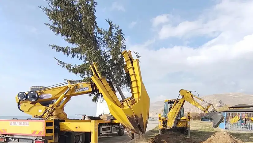 Adilcevaz'da Yeni Hastane Çalışmaları Sürerken Ağaçlar Güvenle Taşındı