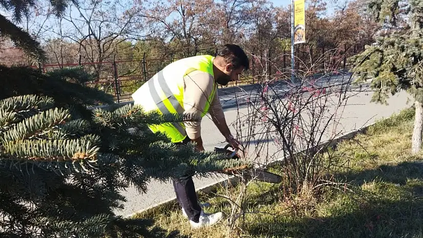 Ağaç ve çalı bakımı Ağrı'nın her köşesinde sürüyor