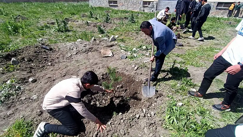 Ağrı'da 2025'te 230 bin fidan ve tohum dikildi