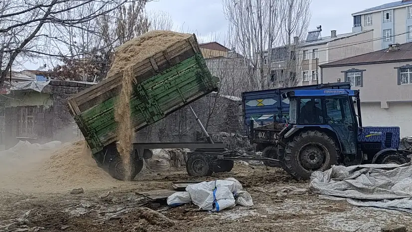 Ağrı'da besiciler bahar hazırlığında ancak saman fiyatları cep yakıyor