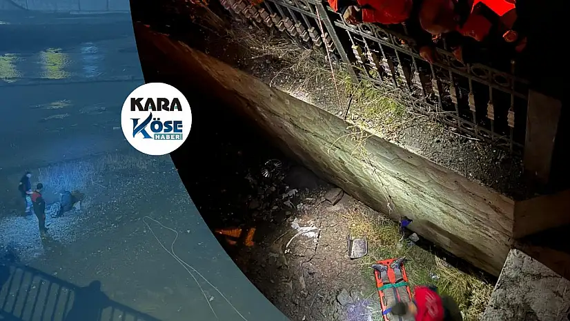 Ağrı'da önce dövdüler sonra köprüden aşağı attılar