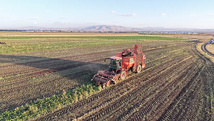 Ağrı'da pancar sökümü mesaisi başladı