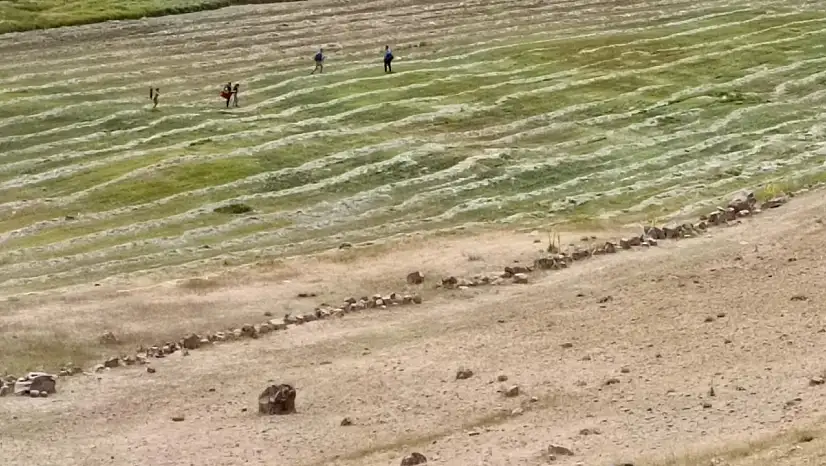 Ağrı'da sıcak hava dinlemediler, ot mesaisini sürdürdüler