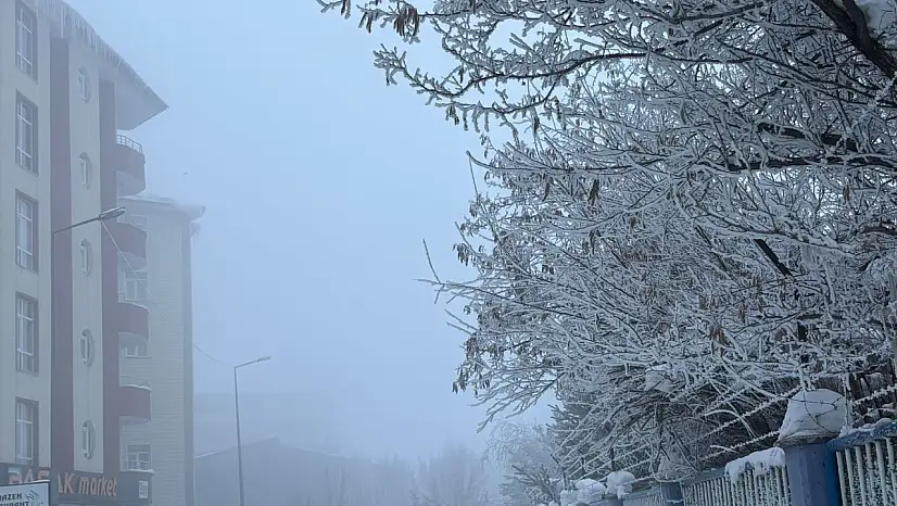 Ağrı'da sisli ve buzlu sabahlar devam ediyor