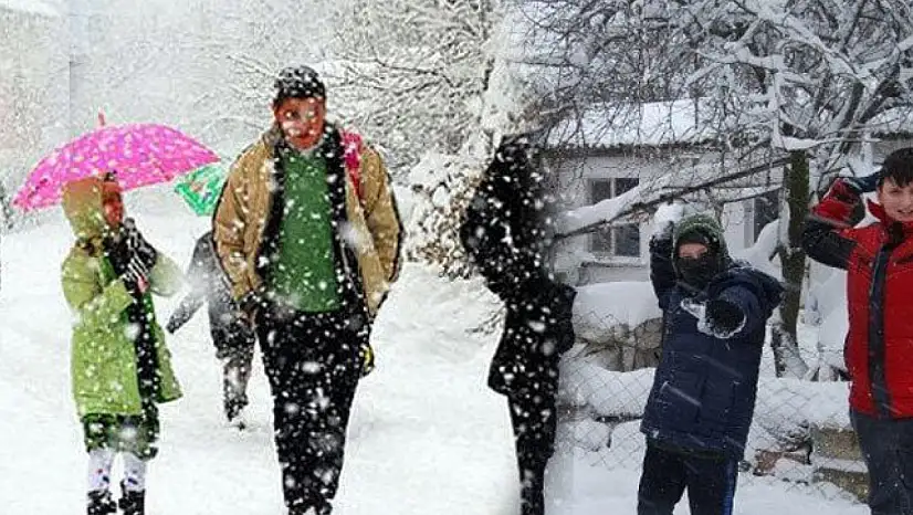 Ağrı'da yarın okullar tatil mi? | 30 Aralık 2025 Salı