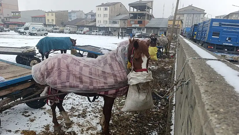 Ağrı'da yaşam herkes için zor