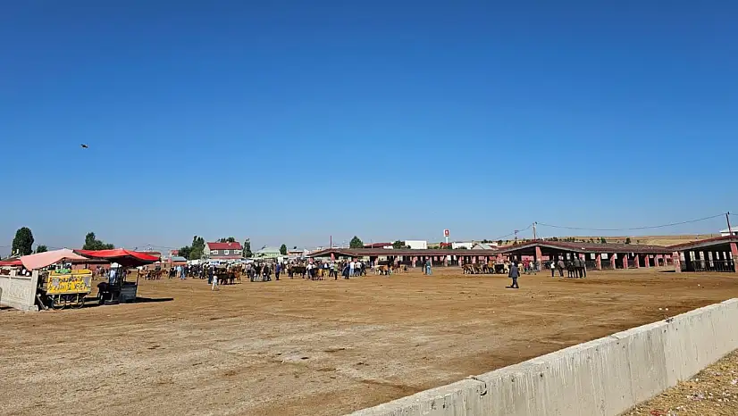 Ağrı Hayvan Borsası'nda şap alarmı! Hayvancılığın başkentinde borsa boşaldı