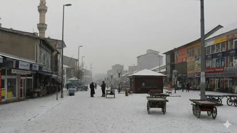 Ağrı Nüfusu Kürt mü?