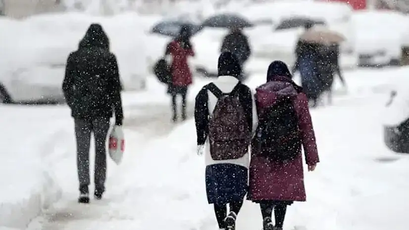 Ağrı, Van, Muş, Bitlis Yarın 29 Aralık 2025 Pazartesi Okullar Tatil mi? Son Dakika Valilik Açıklamaları!