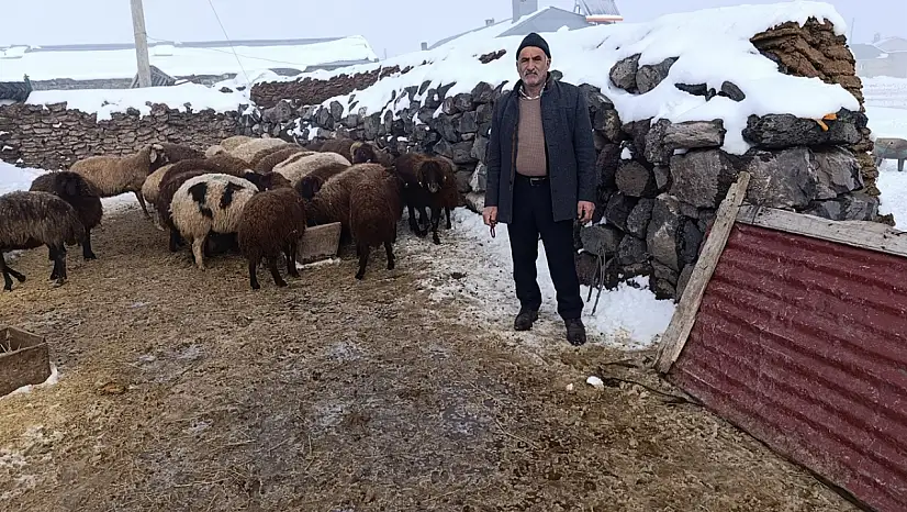 Ahıra giren kurt sonrası Digor tek yürek oldu