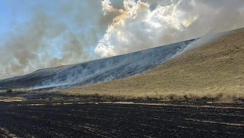 Ahlat'ta tarım arazileri alevlere teslim oldu: 400 dönüm alan zarar gördü